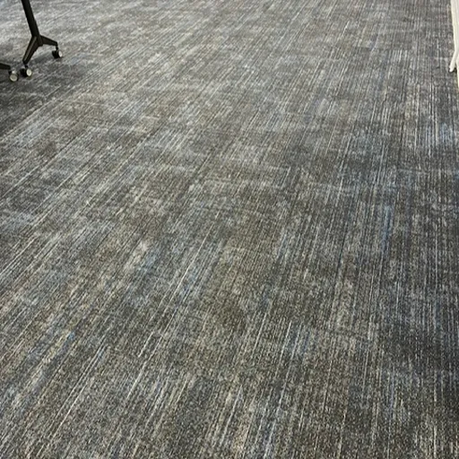 Iowa Central Eagle Grove commercial carpet textured gray